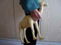 Kamel2005-01.jpg (35822 Byte)