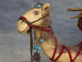Kamel2005-02.jpg (49340 Byte)