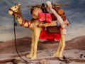 Kamel2005-03.jpg (58641 Byte)