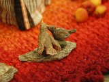 171111reute_083 - Kopie