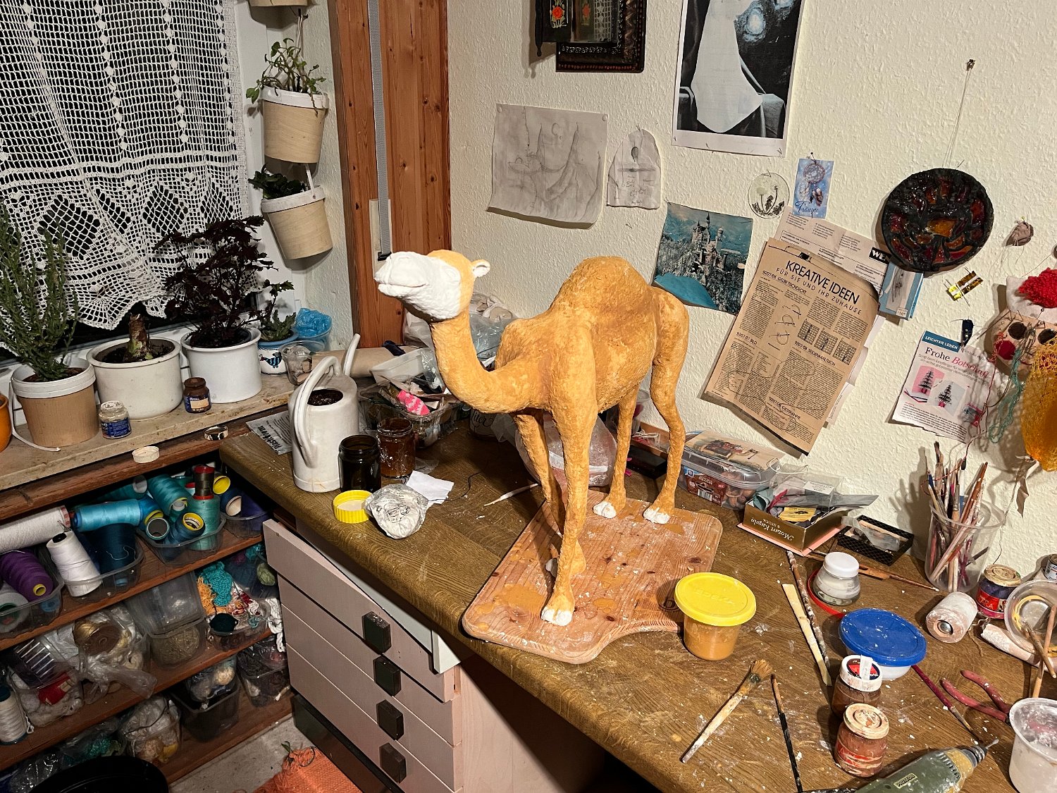 241207kamel (01).JPG