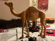 241211_kamel01